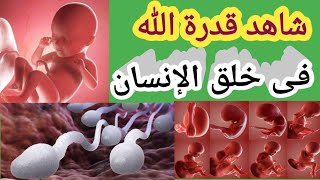 شاهد  قدرة الله فى خلق الإنسان  - نطفة ثم علقة ثم مضغة