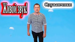 исп. Владимир Need Soul Кузьмин - Одуванчики (cover version)