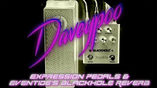 Expression pedals & Eventide's Blackhole Reverb - Daveypoo, The Mobile Music Minstrel