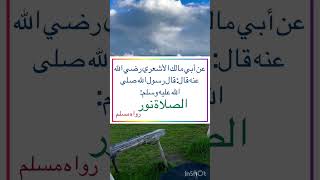 من أقوال الرسول صلى الله عليه وسلم ‏⁧‫#السنة_النبوية #رواه_مسلم #أخرجه_مسلم  ‬