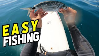 PESCA FÁCIL AO SPINNING E TROLLING