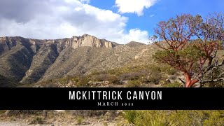 Texas Trip 2021: GMNP - McKittrick Canyon