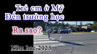 Cuộc sống ở Mỹ / Học sinh đi đến trường học ra sao ? Mối quan tâm của nhiều phụ huynh ..!