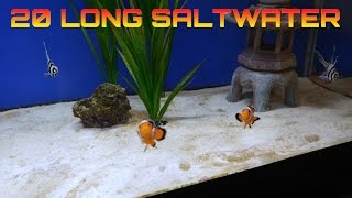 How to setup a 20 long saltwater tank