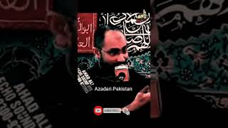 Masaib Bibi Sakina - Shia Whatsapp Status || Allama Shehenshah Hussain Naqvi #shorts