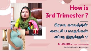 Third Trimester கர்ப்பகால அறிவுரைகள் | Pregnancy care  Seven to nine months in Tamil | Dr.Ashika