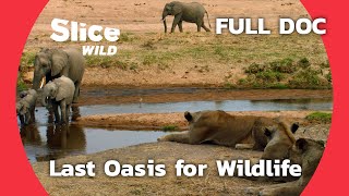 Last Refuge for all Species in Tanzania | SLICE WILD | FULL DOC