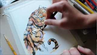 Sumatran Tiger Speed Painting- Time Lapse