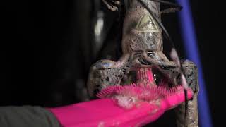 How To & WHY: Muc-Off Scrubber Gloves, learn to seduce & caress your Bike...