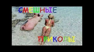 НОВЫЕ СМЕШНЫЕ ПРИКОЛЫ ЛУЧШИЕ РЖАЧНЫЕ ПРИКОЛЫ  NEW FUNNY JOKES