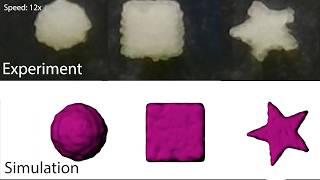 Sequential Support: 3D Printing Dissolvable Support Material for Time-Dependent Mechanisms