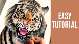 How To Draw Tiger | Color Pencil Tutorial