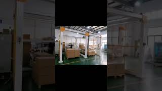 Automatic double station robot hand carton palletizer machine box palletizing machine