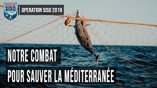 Sea Shepherd OP SISO | filet dérivant confisqué, un requin s'en sort