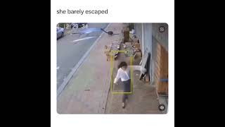 She Barely Escaped - Aggressive Goose Chases Lady Funny Meme