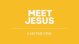 20240818 - David Cheung - Meet Jesus | I am the vine - John 15 : 1 - 11