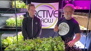 How to Grow Basil, Shiso, Sorrel & Flowers in an Indoor Hydroponic System: T5 LED Spectrum Test