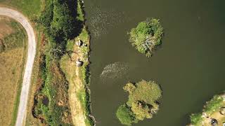 Mere Moor Fishery 4k Uhd 🐟🎣😀