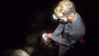 Night time bridge fishing