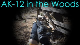 Arcturus AK-12 Gameplay IN THE WOODS