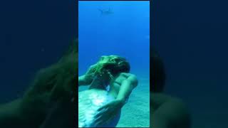 Professional divers dive in mermaid costumes