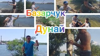 #Базарчук, Бузунчук, Дунай, отдых на рыбалке, Фидер. #Сом #РыбалкаСночевкой