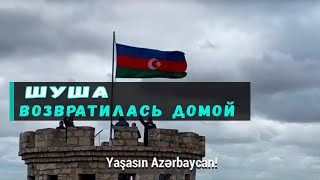 Шуша, ты вернулась домой!