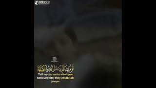 قُلْ لِعِبَادِيَ الَّذِينَ آَمَنُوا يُقِيمُوا الصَّلَاةَ