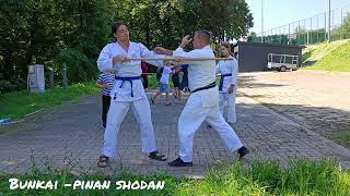 Bunkai - Pinan Shodan