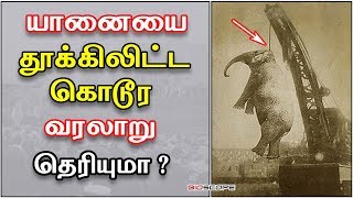 யானையை தூக்கிலிட்ட கருப்பு வரலாறு பற்றி தெரியுமா ? | Varalaru in Tamil | Bioscope