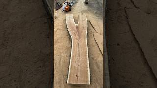 Alaskan mill meets cherry crotch log! | #chainsaw #wood #diy #ideas #woodworking #stihl #powertools