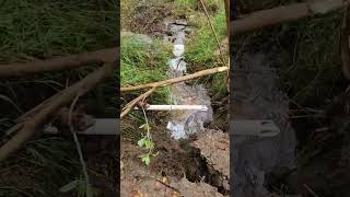 Pineapple Express is causing huge erosion in Los Angeles area #larain #rain #bombcyclone #storm