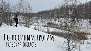 Суворовские озера. Тульская область.