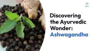 Comprehensive Guide: Everything You Need to Know About Ashwagandha