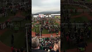 Annie Power and Ruby Walsh returning after winning the 2016 Stan James Champion Hurdle at Cheltenham