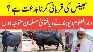 Bhains Ki Qurbani Karna Kaisa Hai || Bahins Ki Qurbani Jaiz Hai Ki Nahi || Bhains Ki Qurbani