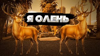 Я побывал оленем на Majestic RP | MAJESTIC RP Угар |