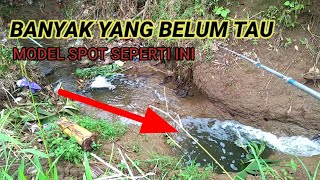 TAK DI SANGKA....ikannya pada ngumpul di spot seperti ini