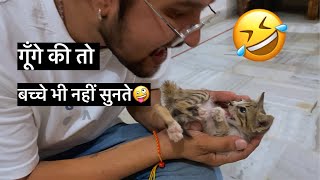 इसकी तो बच्चे भी नहीं सुनते🤣🤣🤣#baawalechorevlogs #cowvlog #dailyvlog #animals #catvlog #cowlover