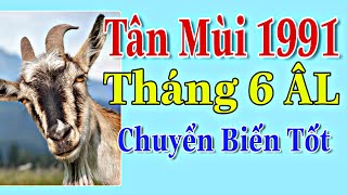 Tân Mùi 1991 Tháng 6 ÂL Có Những Chuyển Biến Tốt Trong Sự Nghiệp Và Tài Lộc