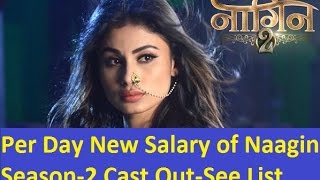 Per Day Salary Of Naagin Season 2 Actors-2017