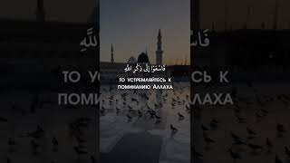 Сура: Аль-Джума (Пятница)Чтец: Хани Алаззони #allahuakbar #пятница #жума_муборак #аллах #islam #sto