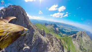 In volo con un'aquila sulle Dolomiti (4K)