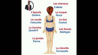 O corpo humano em francês, vocabulário. Le corps humain. Vocabulaire