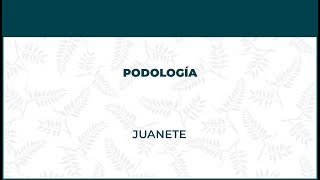 Juanete o Hallux Valgus. Podología - FisioClinics Barcelona, Barna