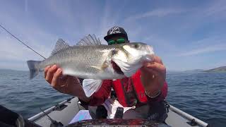 SIB Fishing -Shell Island May 2018 - Bass fishing - Sib