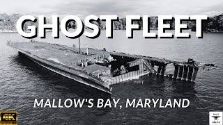 Ghost Fleet of Mallow's Bay 4K Drone Footage | Maryland