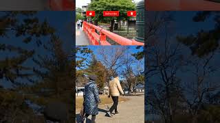 Travel Japan I Js vlog786#shorts #youtubeshorts #shortvideo #japan #viral #youtube #travel