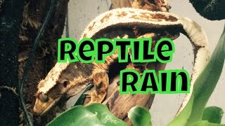 Reptile Rain Trixie Pour Gecko A Crete Dans Un Terrarium Tropicale