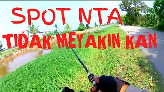 SPOT NYA TIDAK MEYAKIN KAN casting ikan gabus/haruan